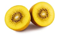 Golden Kiwi (3 Pc Pack)