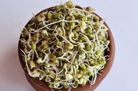 Sprouts - Moong Green (200g Pack)
