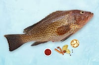 Kerala Grouper / Reef Cod / Kalava / ಕೊಲಜಿ (Large) - whole