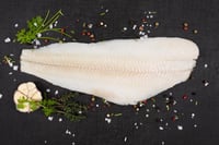 Holland Halibut - Fillet