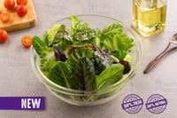 All Day Convenience Salad Healthy Mix -100g Pack