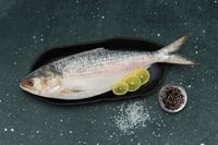 Hilsa / Ilish - (Whole Fish Size 1.1kg-1.2kg) (Cleaned, Bengali Round cut)  1pc