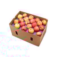 Apple Royal Gala (ZA) - 5kg