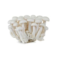Mushroom White Shimeji -Pack of 150g