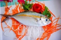 Yellowstripe Scad - Whole