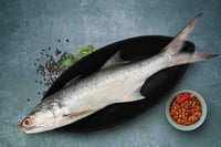 Indian Salmon / Vazhmeen / Raavas / Rawas / Gurjali/ গুরজালি  (Large)