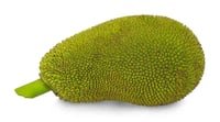 Jack Fruit - Tender