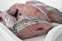 False Tilapia / Jalebi Fish - Bengali Cut (May include head piece)