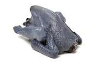 Free Range Kadaknath Country Chicken / Nattu Koli - Whole Cleaned (Skinless)