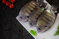 Premium Chemmeenkettu Pearlspot Karimeen (Small) - Whole