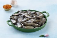 Kholshe / খলশে / Banded gourami/ Colisa fasciata - Whole Cleaned (480g to 500g)