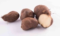 Potato Chinese / Koorkan Root