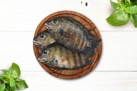 Premium Kumarakom Karimeen / Pearlspot (Medium) - Whole (480g to 580g Pack)