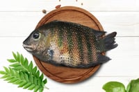 Premium Kumarakom Karimeen / Pearlspot (Super Large 350g to 600g) - Whole