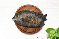 Premium Kumarakom Karimeen / Pearlspot (Large) - Whole