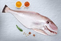 Leather Jacket - Whole cleaned