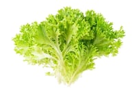 Lettuce Frisee Green - 1 Unit (NL)