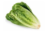 Lettuce Romaine Organic - 250g Pack