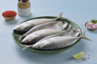 Mackerel / Garfa / Ayala / Bangda (Medium) - Whole (As is without cleaning and cutting)