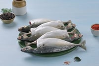 Mackerel / Ayala / Bangda (Super Large, 3 to 5 Count/kg) - Whole Cleaned ( With Head) (450g to 500g Pack)