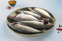 Mackerel / Ayala / Bangda / Aylai (5 to 9 Count/kg) - Whole Cleaned (420g to 480g Pack)