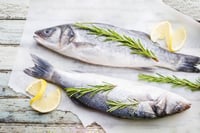 Mediterranean Seabass / Sarah - Whole