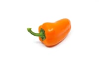 Mini Capsicum Orange (NL)
