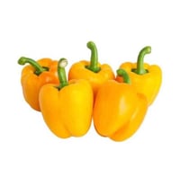 Mini Capsicum Yellow (NL)