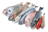 Mixed Fish Head - Curry Cut