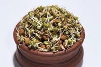 Sprouts - Mixed Gram (200g Pack)