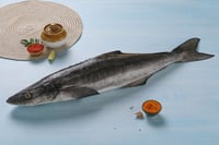 Cobia / Motha - Whole