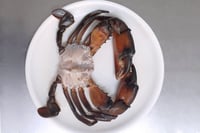 Mud Crabs / Kekkadaa (Extra Large) - Cut & Cleaned Crab