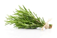 Rosemary (LB) - Pack of 50g