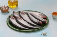 Desi Kolkata Pabda / Pabda Catfish / পাবদা - Whole (480g to 550g Pack)