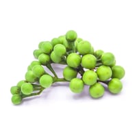 Eggplant Pea (TH) - Pack of (480g to 500g)