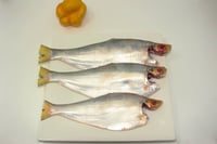 Phasa / ফ্যাঁসা / Phansa / Gangetic Hairfin Anchovy / Tampara  (Kolkata Special)  - Whole Cleaned