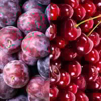 Cherry Plum Mix 500g 