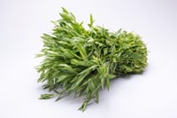 Leafy Sessile / Ponnanganni