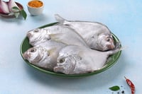 Pony Fish / Mullan - Whole Cleaned (30g to 40g) (480g to 500g Pack)