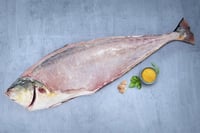 Queen Fish / Leather Skin Fish  - Whole Cleaned