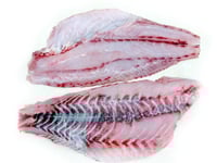 Black Spotted Rubber Lip  - Fillet