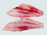 Kerala Grouper / Reef Cod / Hamour / Kalava (Small) - Fillet -250g Pack