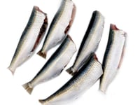 Kanyakumari Sardine / Mathi / ಭೂತಾಯಿ - Whole Cleaned
