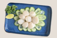 Freshly Frozen Sea Scallops (250g Pack)