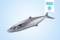 Freshly Frozen Seer Fish / KingFish / Surmai / Neymeen / Vanjaram / Anjal (2kg to 5kg) - Whole