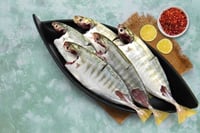 Shrimp Scad / Vatta Paara (Medium to Large) - Curry Cut (May include head pieces)