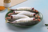 Shrimp Scad / Vatta Paara - Whole cleaned (480g to 550g Pack)