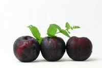 Plums Black (CL)