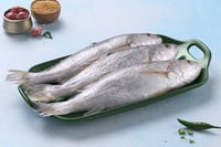 Silver Croaker / Kora / Bhola / ভোলা - Whole