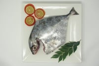 Silver Trevally / Kannadi Vatta (Small) - Whole Cleaned